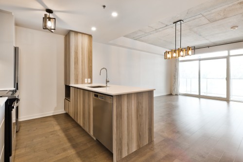 Cuisine - 205-700 Rue Des Éclaircies, Brossard, QC - Indoor Photo Showing Kitchen