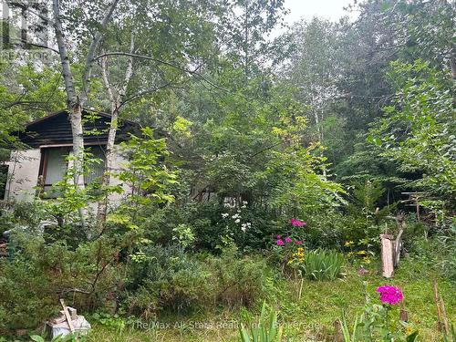 136 OAKDENE CRESCENT  Kawartha Lakes (Little Britain), ON K0M 2C0