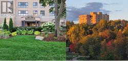 203 - 549 RIDOUT STREET N  London East (East F), ON N6A 5N5