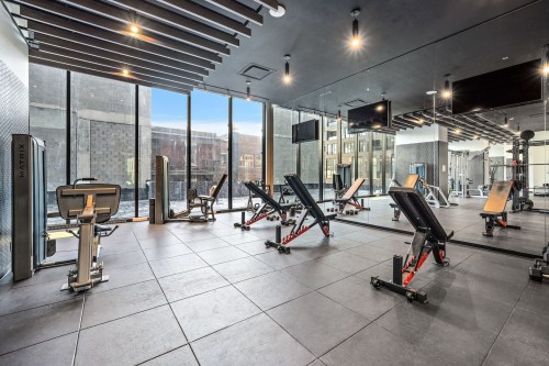 Other - 5712-1210 Rue Jeanne-Mance, Montréal (Ville-Marie), QC - Indoor Photo Showing Gym Room