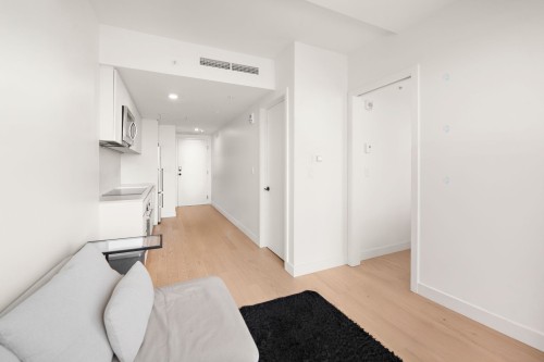 Living Room - 5712-1210 Rue Jeanne-Mance, Montréal (Ville-Marie), QC - Indoor