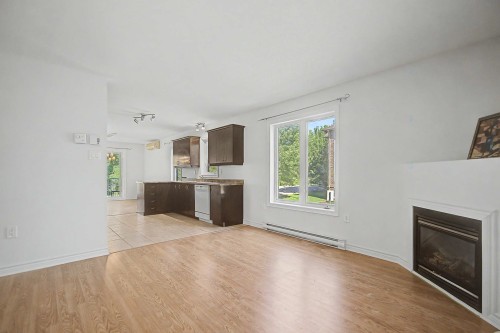 Salon - 2-20 Rue Du Conservatoire, Gatineau (Aylmer), QC - Indoor Photo Showing Living Room With Fireplace