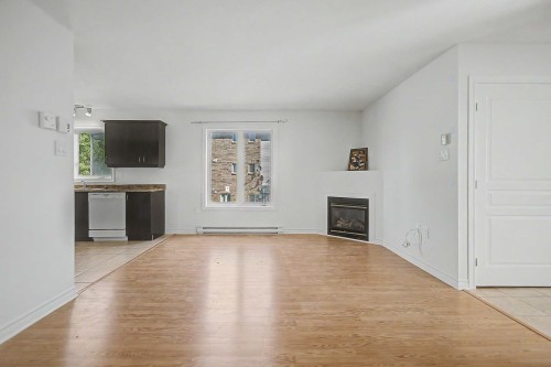 Salon - 2-20 Rue Du Conservatoire, Gatineau (Aylmer), QC - Indoor Photo Showing Living Room With Fireplace
