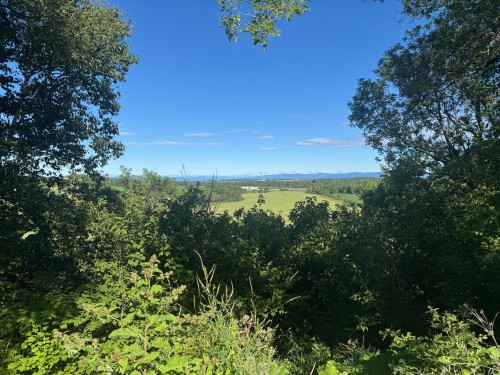 View - 157  - 159 Route 230 O., Saint-Pascal, QC - Outdoor With View