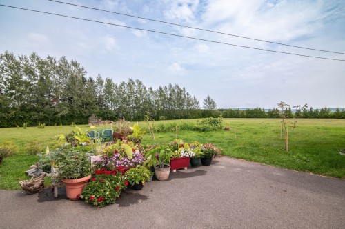 Extérieur - 1247 2E Rang, Saint-Roch-Des-Aulnaies, QC - Outdoor