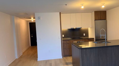 Dining Room - 2105-2060 Rue Peel, Montréal (Ville-Marie), QC - Indoor Photo Showing Kitchen