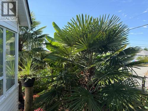 4538 Michigan Ave, Powell River, BC - Outdoor