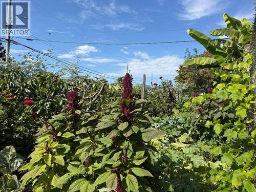 4538 Michigan Ave, Powell River, BC - Outdoor
