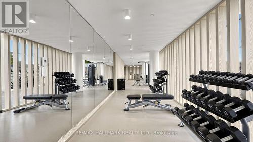 823 - 1050 Eastern Avenue, Toronto, ON - Indoor Photo Showing Gym Room