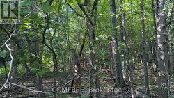 4853 OPEONGO ROAD Ottawa, ON K0A 3M0
