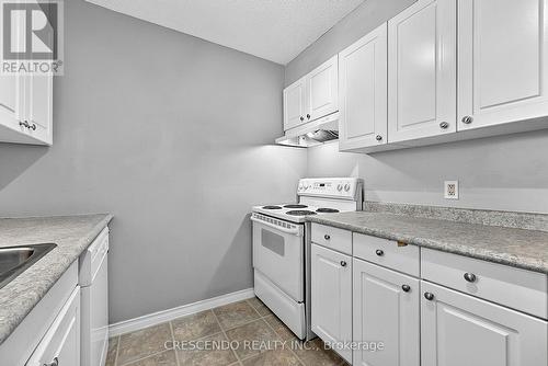 201 - 100 Millside Drive, Milton, ON - Indoor Photo Showing Kitchen