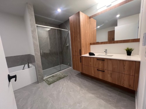 Salle de bains - 421-282 Rue Du Cardinal, Saint-Amable, QC - Indoor Photo Showing Bathroom