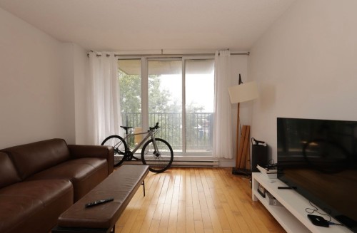 Living Room - 613-680 Rue De Courcelle, Montréal (Le Sud-Ouest), QC - Indoor Photo Showing Living Room