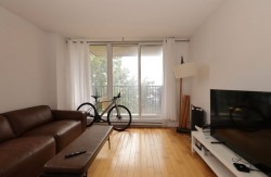 Living Room - 