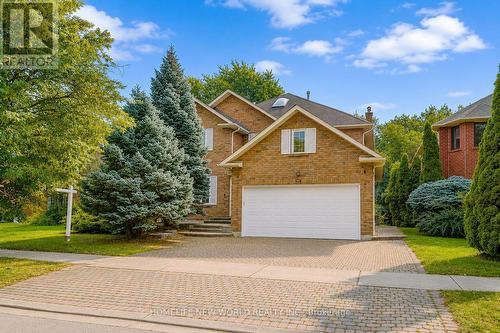 51 Leighland Drive, Markham, ON - Outdoor