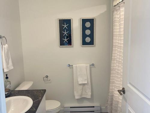 133 Noah Avenue, Dartmouth, NS - Indoor Photo Showing Bathroom