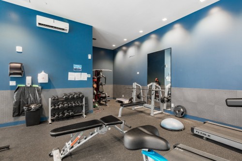 Salle d'exercice - 814-170 Rue Rioux, Montréal (Le Sud-Ouest), QC - Indoor Photo Showing Gym Room