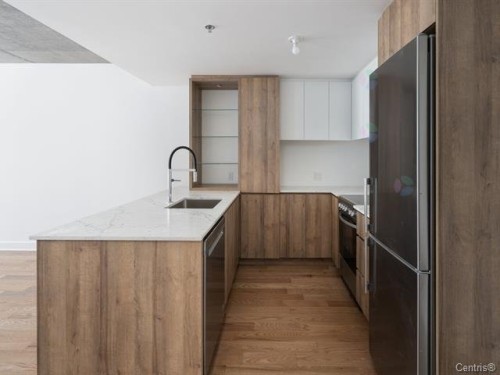 Cuisine - 814-170 Rue Rioux, Montréal (Le Sud-Ouest), QC - Indoor Photo Showing Kitchen With Upgraded Kitchen