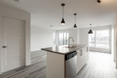 Kitchen - 306-300 Rue Du Grenoble, Lachute, QC - Indoor Photo Showing Kitchen With Double Sink With Upgraded Kitchen