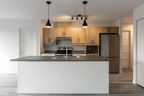 Kitchen - 306-300 Rue Du Grenoble, Lachute, QC - Indoor Photo Showing Kitchen With Double Sink