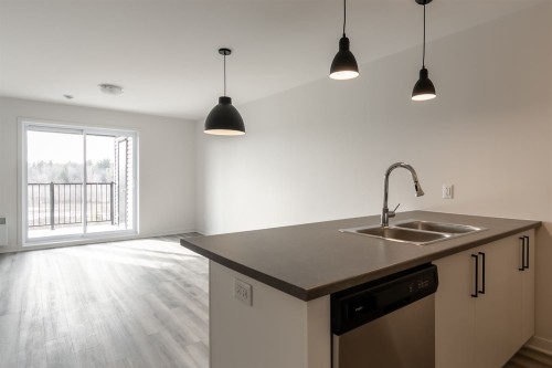 Vue d'ensemble - 304-300 Rue Du Grenoble, Lachute, QC - Indoor Photo Showing Kitchen With Double Sink