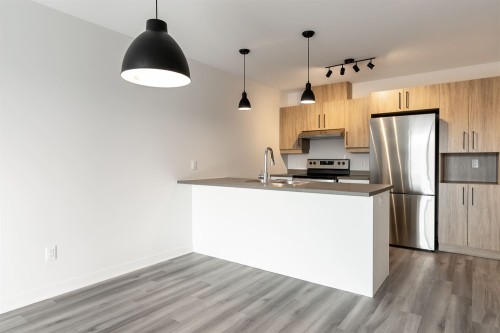 Cuisine - 304-300 Rue Du Grenoble, Lachute, QC - Indoor Photo Showing Kitchen With Double Sink