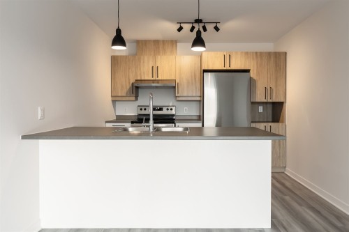 Cuisine - 304-300 Rue Du Grenoble, Lachute, QC - Indoor Photo Showing Kitchen