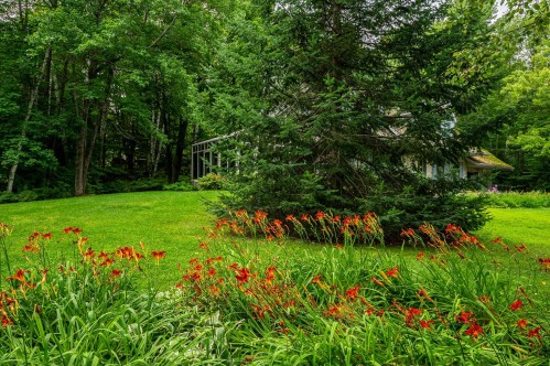 Extérieur - 330 Ch. Des Neiges, Piedmont, QC - Outdoor