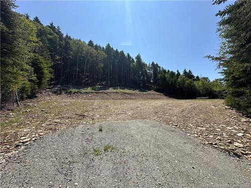 37 Forest Dr, Alma, NB - Outdoor With View