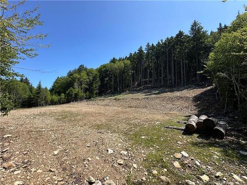 37 Forest Dr, Alma, NB - Outdoor With View