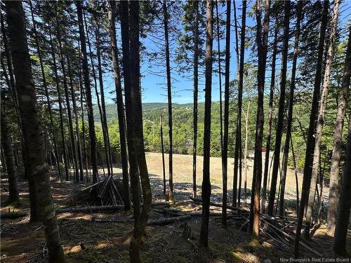 37 Forest Dr, Alma, NB - Outdoor With View