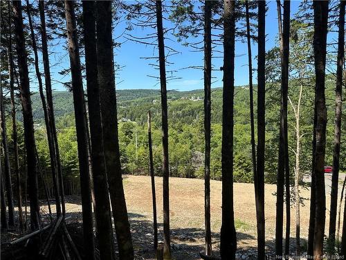 37 Forest Dr, Alma, NB - Outdoor With View