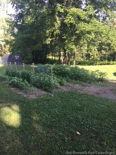 350 Debec Rd, Debec, NB 