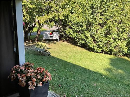 350 Debec Rd, Debec, NB 