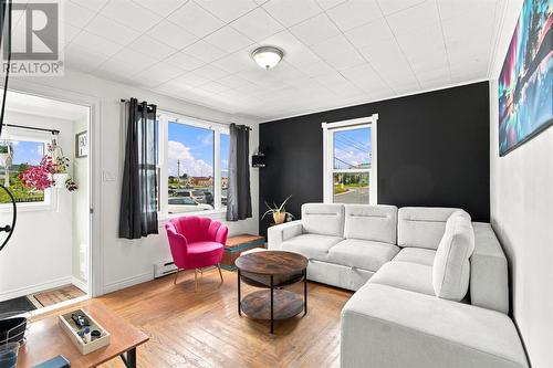 66 Pearce Avenue, St.John'S, NL - Indoor Photo Showing Living Room