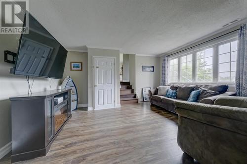 4 Braemar Crescent, Corner Brook, NL - Indoor Photo Showing Living Room