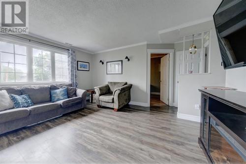 4 Braemar Crescent, Corner Brook, NL - Indoor Photo Showing Living Room