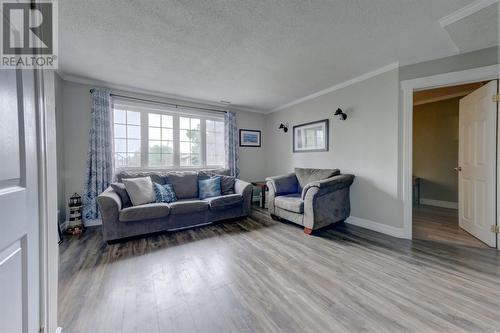 4 Braemar Crescent, Corner Brook, NL - Indoor Photo Showing Living Room