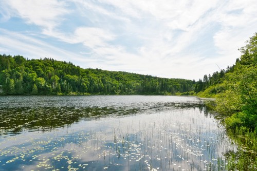 Water access - 1934 Ch. Du Lac-Des-Trois-Frères, Saint-Adolphe-D'Howard, QC - Outdoor With Body Of Water With View