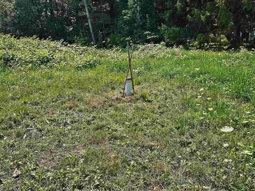 11757 1 Highway, Brickton, NS 