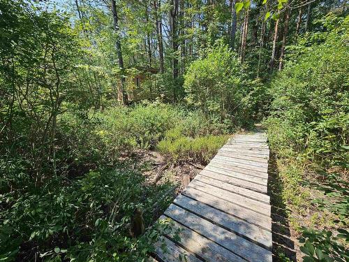 11757 1 Highway, Brickton, NS 