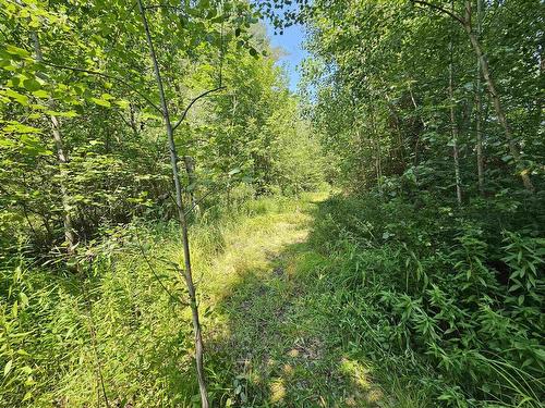 11757 1 Highway, Brickton, NS 