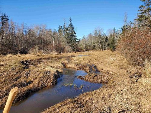 11757 1 Highway, Brickton, NS 