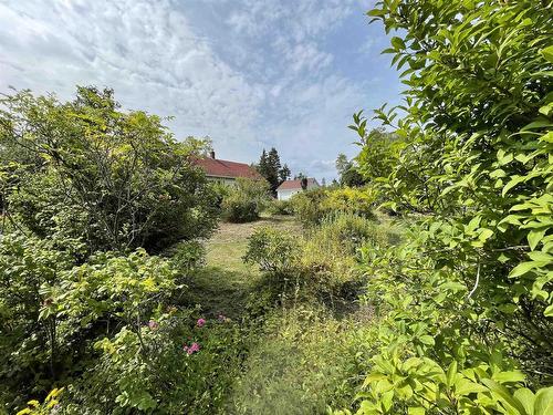 7731 Highway 329, East River Point, NS - Outdoor