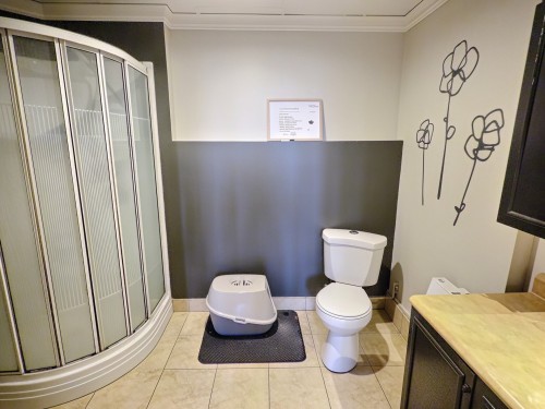 Salle de bains - 1895 Rue St-Denis, Val-D'Or, QC - Indoor Photo Showing Bathroom