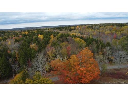 339 Mcminn Rd, Rollingdam, NB 