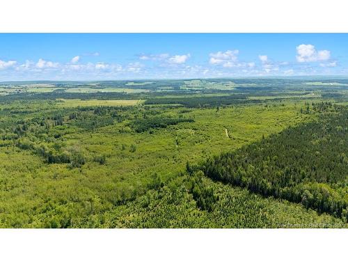 62 Lewiston Rd, Cornhill, NB - Outdoor With View