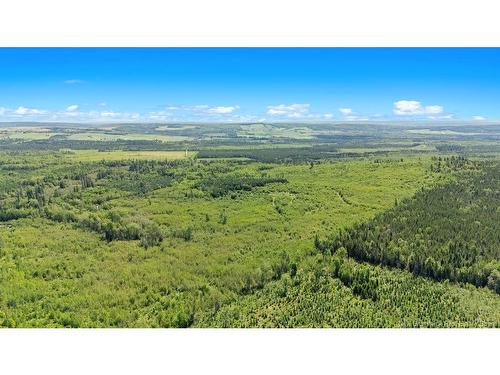 62 Lewiston Rd, Cornhill, NB - Outdoor With View