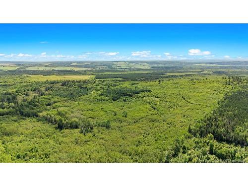 62 Lewiston Rd, Cornhill, NB - Outdoor With View
