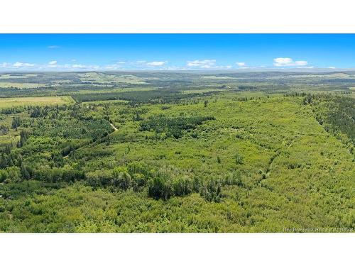 62 Lewiston Rd, Cornhill, NB - Outdoor With View